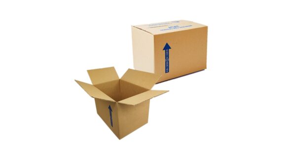 CAJA REGULAR CHICA DE 20 CM X 15 CM X 15 CM